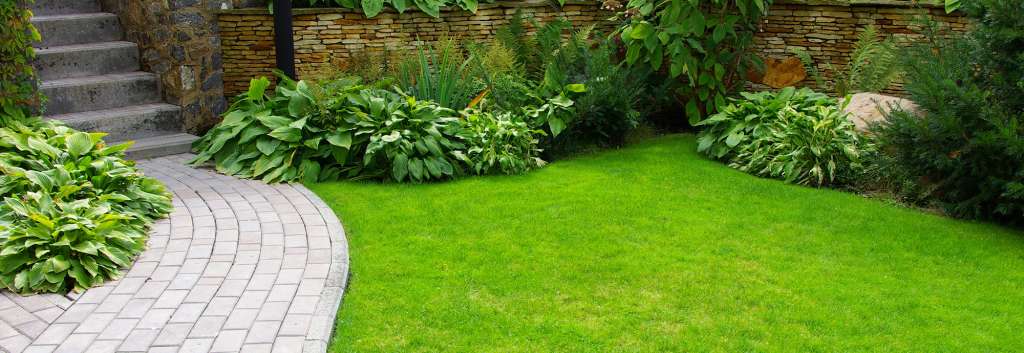 Kinds of Mulch: Which One Suits your Landscaping Needs?