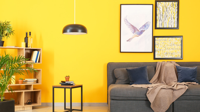 Sunny Yellow Colour Combination: All You Need To Know