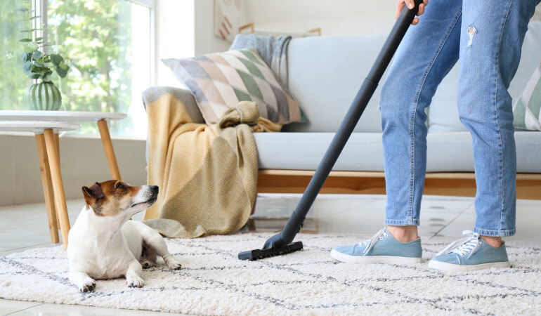 How to Effectively Tackle Pet Hair with Professional Cleaning Services