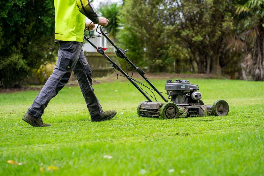 Landscaping Near Me Long Island NY: Why Atlantis Pro Services Corp is the Best Choice Over DIY Lawn Care