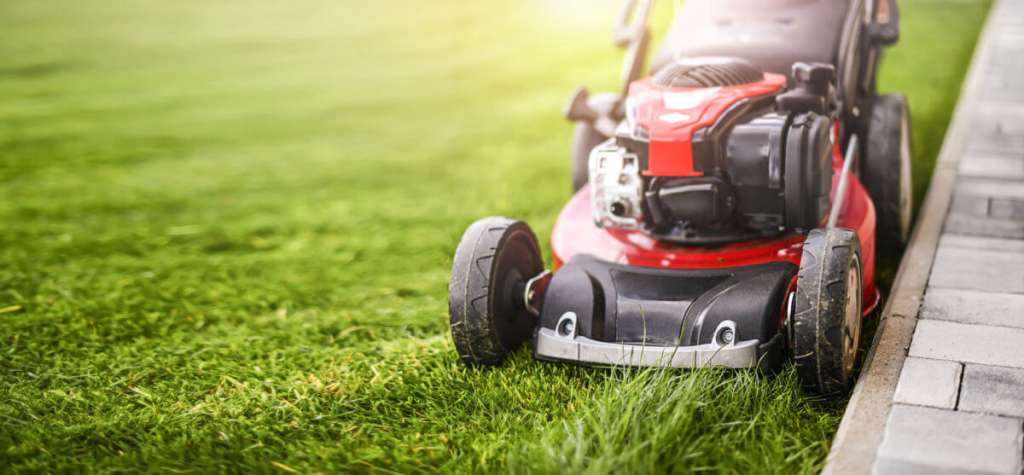 Ace of Blades Lawn Care Company: Transforming Outdoor Spaces with Expert Care