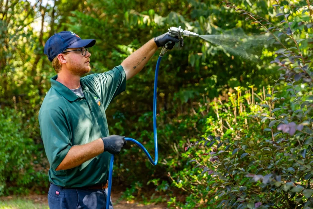 Working in Plant Health Care: A Career Rooted in Science and Stewardship